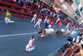 Encierro - Running of the Bulls Royalty Free Stock Photo