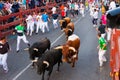 Encierro - Running of the Bulls Royalty Free Stock Photo