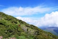 Encounter with a deer on top of Mt. Karakunidake, Ebino kogen, Japan Royalty Free Stock Photo