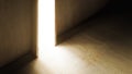 encountering enigmas and discovering,A maze of adventures,getting lost and finding a way out,3D rendering