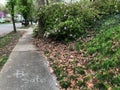 An encouraging message of Be Safe on the sidewalk of a deserted neighborhood during the COVID-19 pandemic