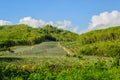 Encroach on forests on the mountain in thailand