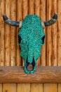 Encrusted Turquoise nuggets street bull or cow skull