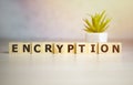 encryption word on wooden cubes, encrypt and security concept