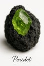 Encyclopedic mineral image of peridot crystal embedded in vesicular basalt Royalty Free Stock Photo
