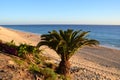 The end of the day - breathtaking Playa del Matorral in the rays of the sunset, Morro Jable, Fuerteventura Royalty Free Stock Photo