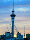 End of the day sky tower Auckland