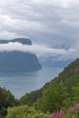 End of fjord. Beautiful Norwegian landscape. view of the fjords. Norway ideal fjord reflection in clear water In cloudy weather. Royalty Free Stock Photo