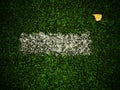 End of football season. Dry birch leaf fallen on ground of plastic green football turf with painted white line . Dramatic colors. Royalty Free Stock Photo