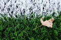 End of football season. Dry leaf on ground of plastic green football turf with painted white line . Royalty Free Stock Photo