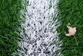 End of football season. Dry leaf on ground of plastic green football turf with painted white line . Royalty Free Stock Photo