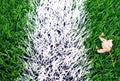 End of football season. Dry leaf on ground of plastic green football turf with painted white line . Royalty Free Stock Photo