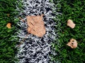 End of football season. Plastic green football turf Royalty Free Stock Photo