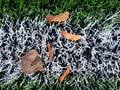 End of football season. Plastic green football turf Royalty Free Stock Photo