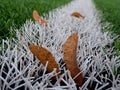 End of football season. Plastic green football turf Royalty Free Stock Photo