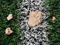 End of football season. Plastic green football turf Royalty Free Stock Photo