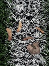 End of football season. Plastic green football turf Royalty Free Stock Photo