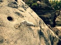 The end knot of steel rope. Climbers path via ferrata. Steel bolt anchor eye Royalty Free Stock Photo