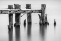 End of an old broken pier, closeup of posts standing in calm tranquil water, black and white