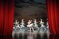 At the end of the play-The last scene of Swan Lake-ballet Swan Lake Royalty Free Stock Photo