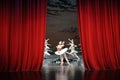 At the end of the play-The last scene of Swan Lake-ballet Swan Lake Royalty Free Stock Photo