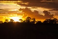 End of a Safari-day, Sunset behind Trees in Africa Royalty Free Stock Photo