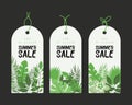 End of Season. Summer hand drawn calligraphyc sale tags set