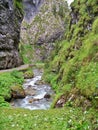 Serrai of Sottoguda: a deep canyon in Dolomites Royalty Free Stock Photo