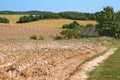 End of summer agricultural