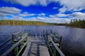 End of summer landscape from Finland. Pine forest coast with lake ans dark blue sky with white clouds. Beautiful scenery from Royalty Free Stock Photo