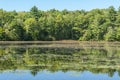 Leach pond in Borderland State Park Royalty Free Stock Photo