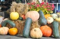 Fall harvest, pumpkins and squash, arrangement for seasonal background Royalty Free Stock Photo