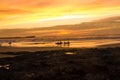 End of a surfing day on the twilight Royalty Free Stock Photo