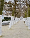 Trees on Kunstberg or Mont des Arts Mount of the arts in Brussel, Belgium Royalty Free Stock Photo