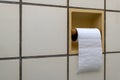 End of the toilet paper roll Royalty Free Stock Photo