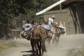 The end of the trail ride Royalty Free Stock Photo