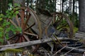 End of the trip. Old broken and rotting wooden horse cart