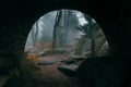 End of a tunnel to a Dark Mystical forest with a poiting sign on a tree, scene filled with magical mist or fog with fantas Royalty Free Stock Photo