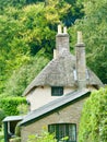 End view of the cottage