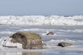 Springtime in Gulf of Riga covered with melting ice stacks and closeup of stone