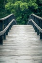 At the end of the wooden bridge Royalty Free Stock Photo