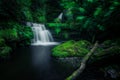 McLean Falls, Catlins Conservation Park, New Zealand Royalty Free Stock Photo