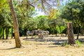 Endangered animlas at conservation zoo, Montpellier, France