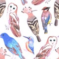 Endangered birds seamless watercolor background Royalty Free Stock Photo