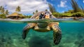 an endangered Hawaiian green sea turtle cruise in the warm waters of the Pacific Ocean in Hawaii Royalty Free Stock Photo