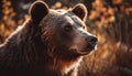 Endangered male panda, close up portrait, focusing on animal eye generated by AI