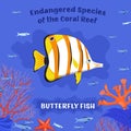 Endangered reef fish