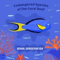 Endangered reef fish