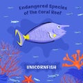 Endangered reef fish