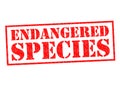 ENDANGERED SPECIES Royalty Free Stock Photo